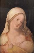 The Virgin suckling the Child Albrecht Durer